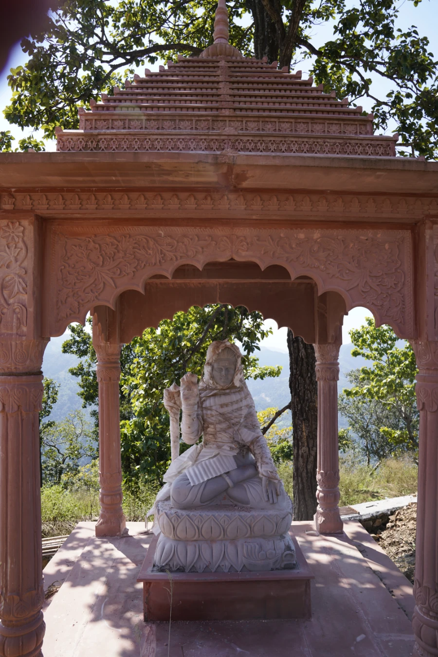 Dhanvantri Dham Gallery Image 44