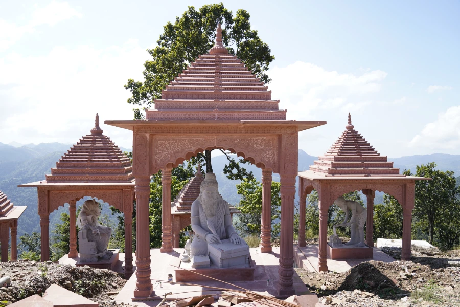 Dhanvantri Dham Gallery Image 45