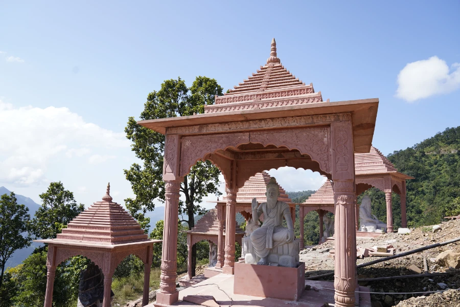 Dhanvantri Dham Gallery Image 46